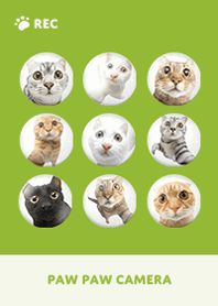 ネコカメラ - グリーン 07