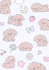 Spring sakura and a purple toy poodle