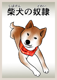 柴犬の奴隷着せ替え