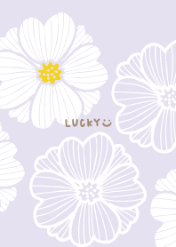 レースのような白い花7