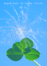 幸運の妖精ケサランパサラン #9-31