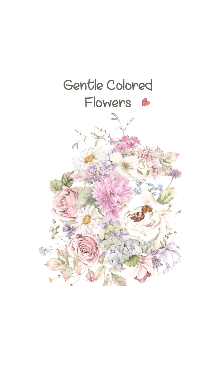 gentle colored pretty flowers
