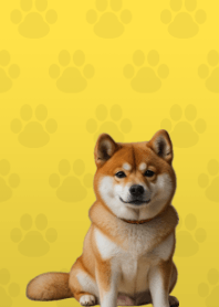 Cute Shibainu Theme Yellow 02