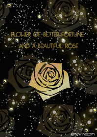 BETTER FORTUNE AND A BEAUTIFUL ROSE G