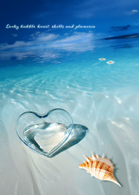 Lucky bubble heart, shells and plumeria