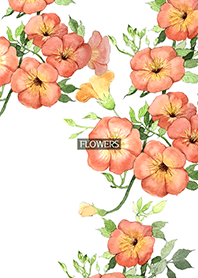 water color flowers_536