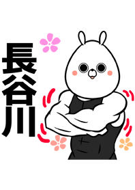 長谷川さん専用筋肉うさぎのなまえ着せかえ