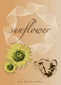 Sunflower and American shorthair #pop