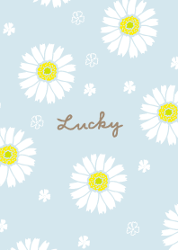 White gerbera22 from Japan