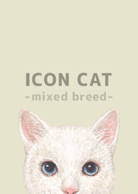 ICON CAT -Mixed breed cat- PASTEL YE/12