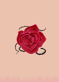 Lucky rose 10004