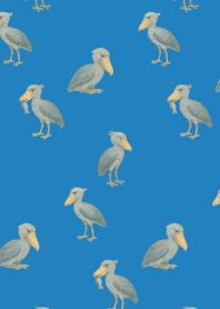I am a shoebill2 on blue