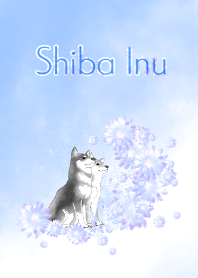 Shiba Inu-Purple flowers-
