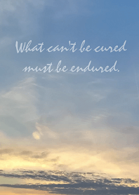What can't be cured must be endured.