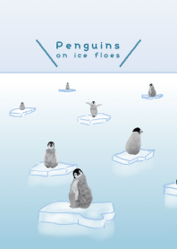 Penguins on ice floes