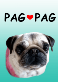 PAG PAG