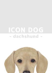 ICON DOG - dachshund - GRAY/03