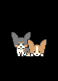Pembroke Welsh Corgi darkmode theme