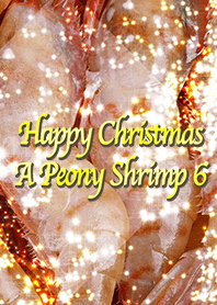 Happy Christmas A Peony Shrimp 6