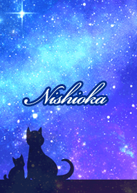 Nishioka Milky way & cat silhouette