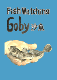 Fish watching goby