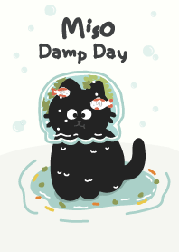 Miso Damp Day