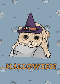 meow's halloween - pale blue