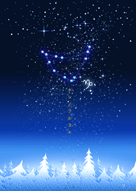 Wish on a starry night#37