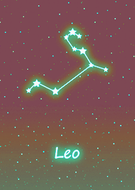 Wishing Constellation.Leo7