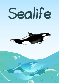 海洋生物
