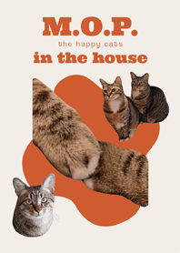 M.O.P. the happy cats in the house