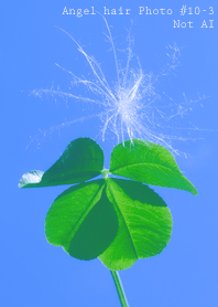 Angel hair Photo #10-3 Not AI