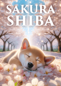 春と桜と柴犬