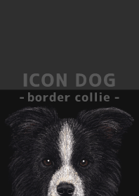 ICON DOG - ボーダーコリー - BLACK/01