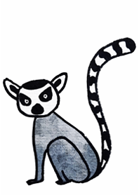 Simple ring-tailed lemur6.