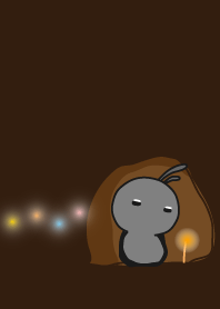 rabbit staring - light