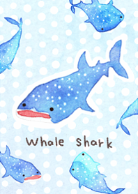 I love cute whale sharks8.