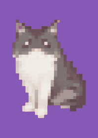* Black Cat Pixel Art Theme  Purple 01