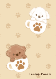Teacup Poodle Brown