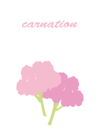 ALLIN.no2*carnation