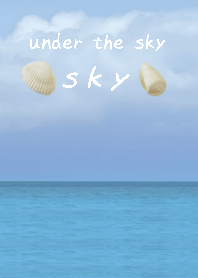 theme7 ocean(sea)and shell/skyblue/white