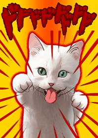 แมวตลก ต่อยคุณ