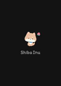 Shiba Inu3 Peach / Black