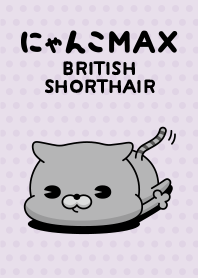 Cat MAX (Brisho)