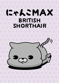 にゃんこMAX(ブリショー)