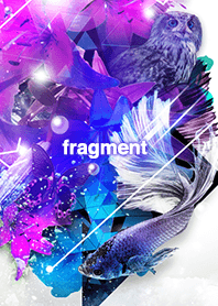 Fragment