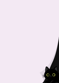 corner black cat.white6