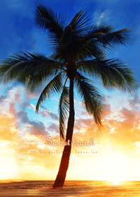 Sunset on Beach