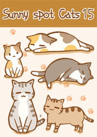 sunny spot cats No15 Cat paws