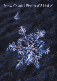 Snow Crystal Photo #15-27Not AI